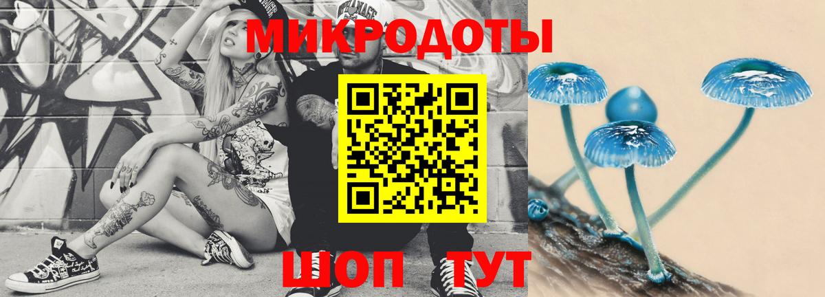 Псилоцибиновые грибы Cubensis Медногорск