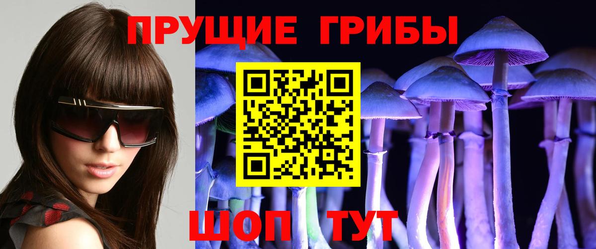 Медногорск  магазин продажи наркотиков  Вход с VPN  Галлюциногенные грибы ЛСД  Псилоцибиновые грибы мицелий 