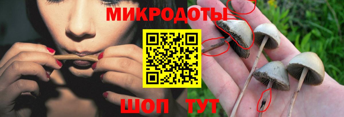 Псилоцибиновые грибы GOLDEN TEACHER Медногорск